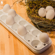Image for article titled The First Five Smart Home Appliances From Quirky and GE's Future-Store